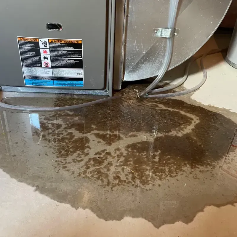 Appliance Leak Cleanup in Channel Lake, IL